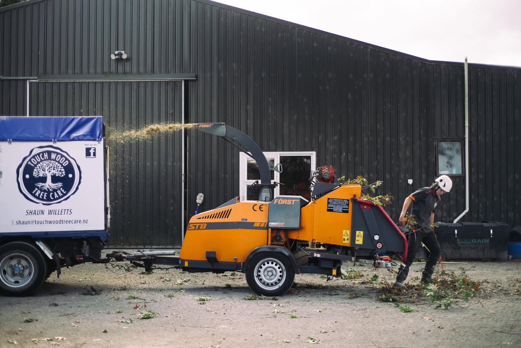 Tree Removal & Dismantling
