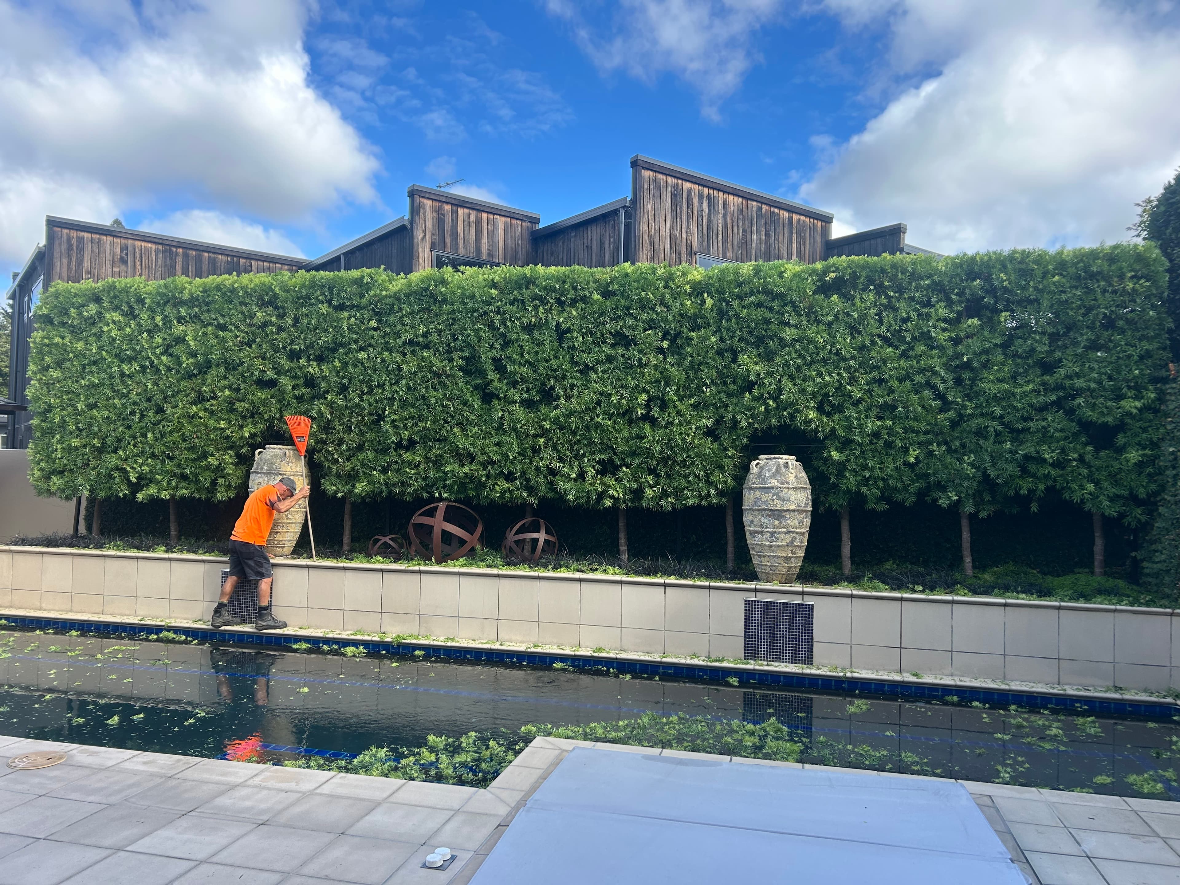 Hedge Maintenance