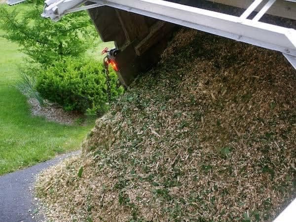 Tree Mulch
