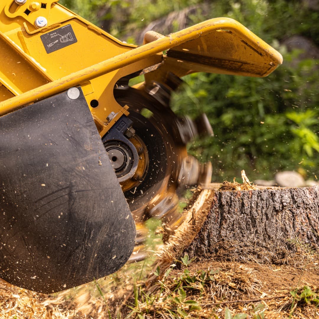 Stump Removal