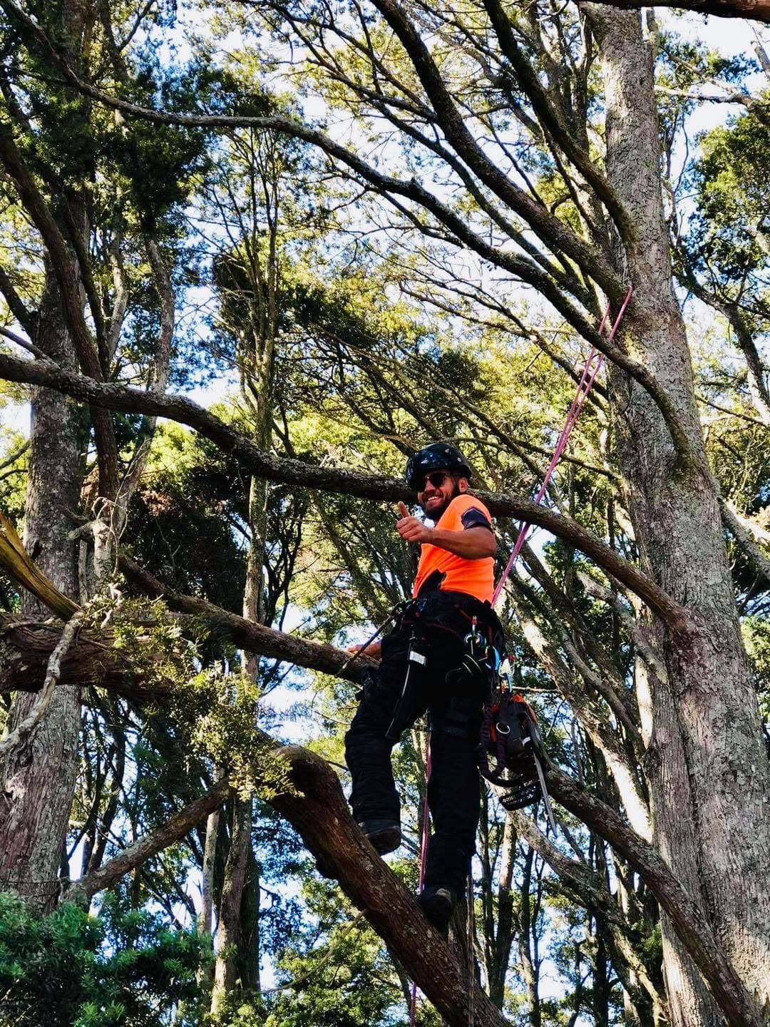 Shaun Willetts - Touch Wood Tree Care team